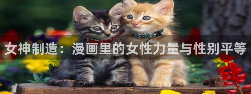 汗汗漫画免费漫画页面：女神制造：漫画里的女性力量与性别平等
