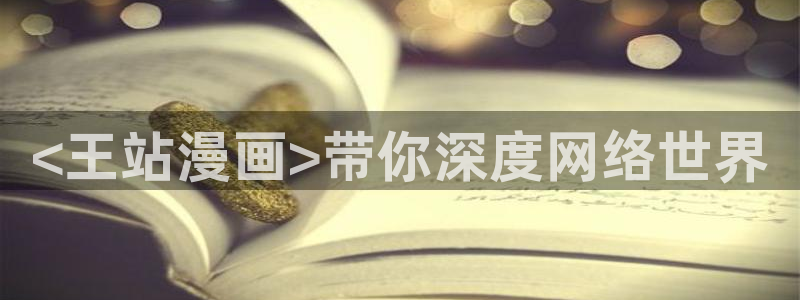 汗汗漫画3d：<王站漫画>带你深度网络世界