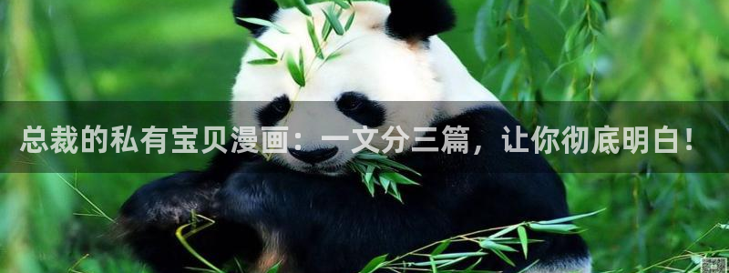 汗汗漫画 在线观看：总裁的私有宝贝漫画：一文分三篇，让你彻底明白！