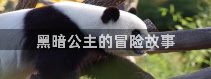 寄宿日记汗汗漫画：黑暗公主的冒险故事